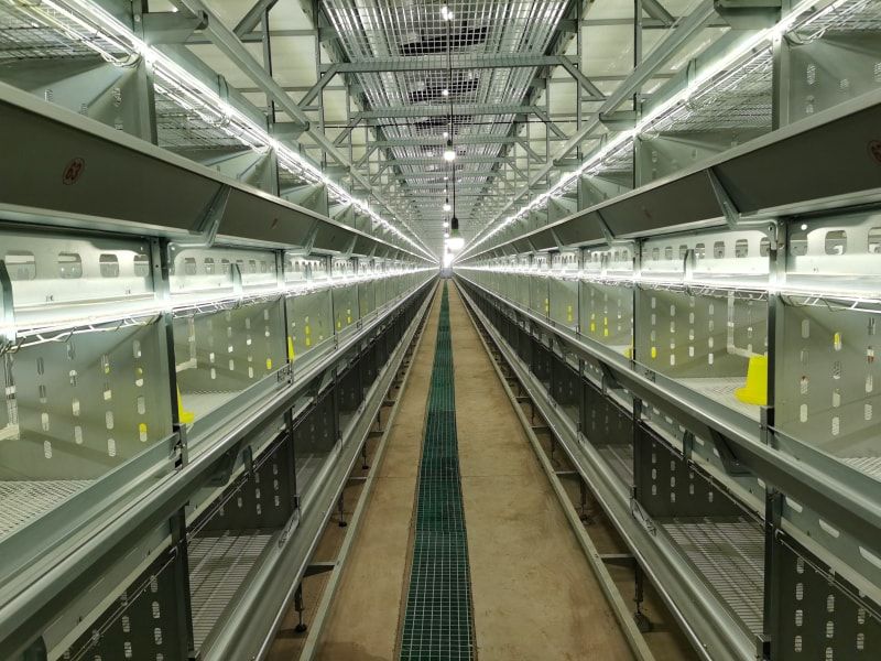 Temperature and humidity control of breeding equipment chick coops