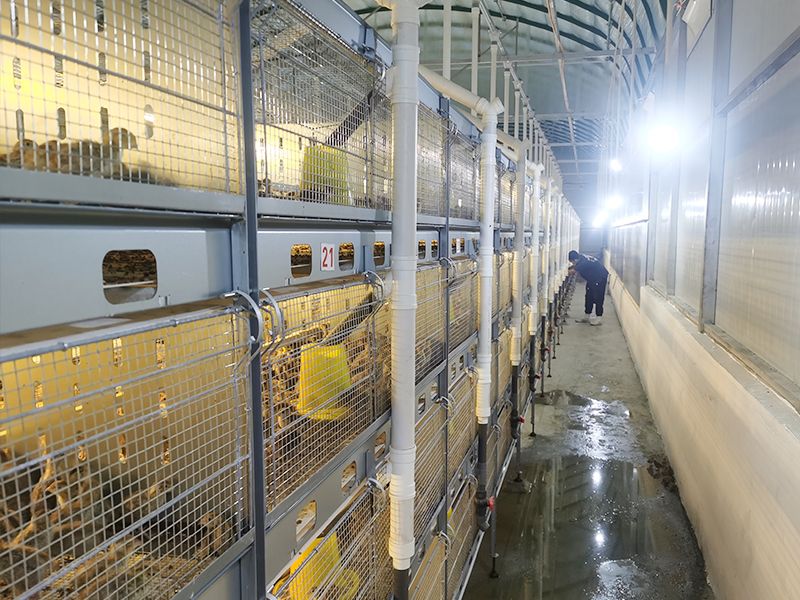 Stacked automated breeding equipment
